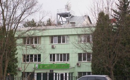 оперативная полиграфия в