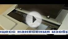 Прямая печать на ткани (Новый Цвет)