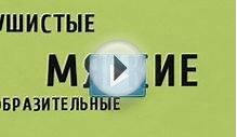 Рисованная видео-презентация дизайн-студии "Хвостатая комната"